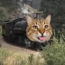 Tcat