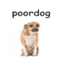 poordog