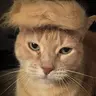 catnald