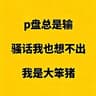 p盘总是输，骚话我也想不出，我是大笨猪