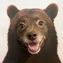 DID