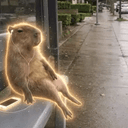 Capybara