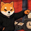 Shib