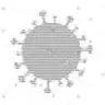 VIRUS