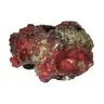 CLATHRATE
