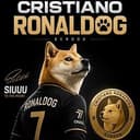 CRDOG