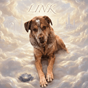 LINK