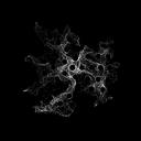 entropy