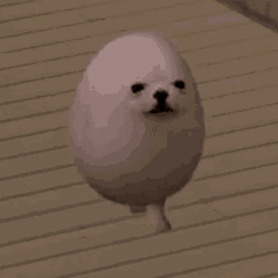 狗蛋