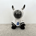 MOONBULL