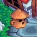 Penis