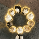Catbal