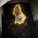 Teddy