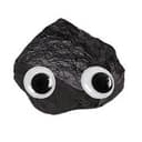 COAL