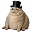 FATCAT