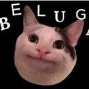BELUGA