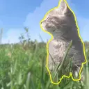 peak