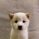 Ben