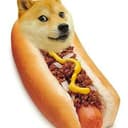 HDOGE