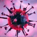 NOROVIRUS