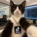 Intern