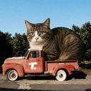 CARCAT
