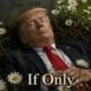 IF ONLY
