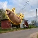 FlyingPig