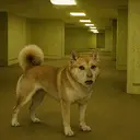 BACKINU