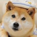 DWIF