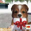 NINTENDOGS