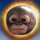 budi