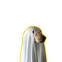 ㅤㅤㅤㅤ