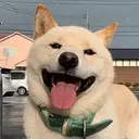 Hakuchan