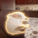 susdog