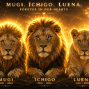 Roar