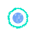 PORT
