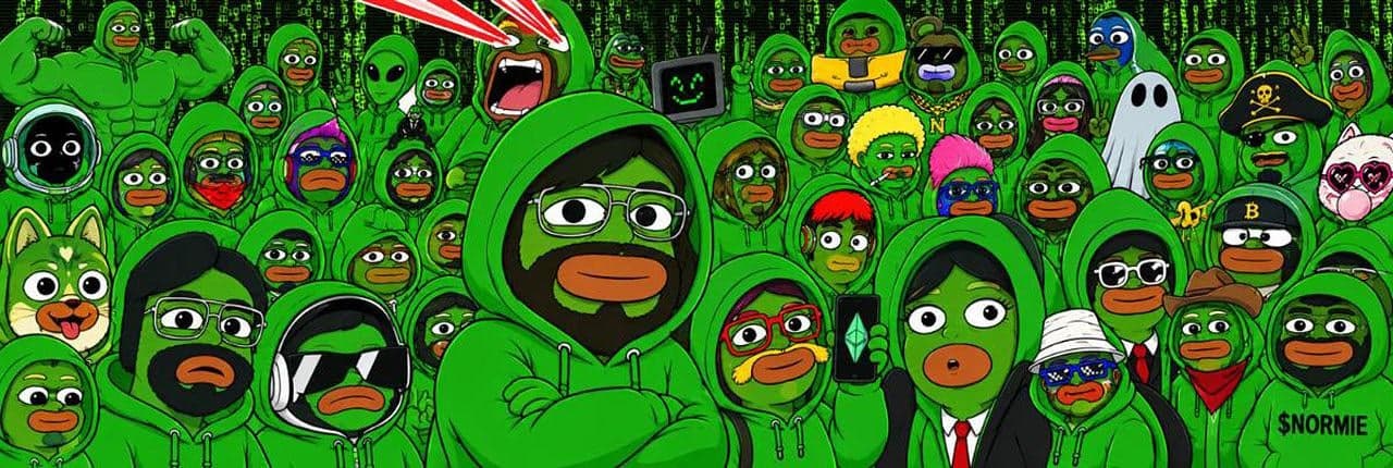 Normie in Hood Banner