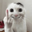 红尘飞