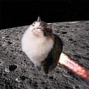 MoonCat
