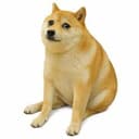 CASHDOG