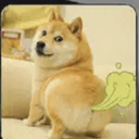 FARTDOGE