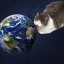Kitty