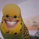 CHAROC