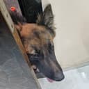 JACKY