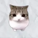 Meowpin