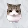 Meowpin