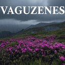 VAGUENESS