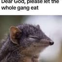 geeg