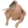 SCF
